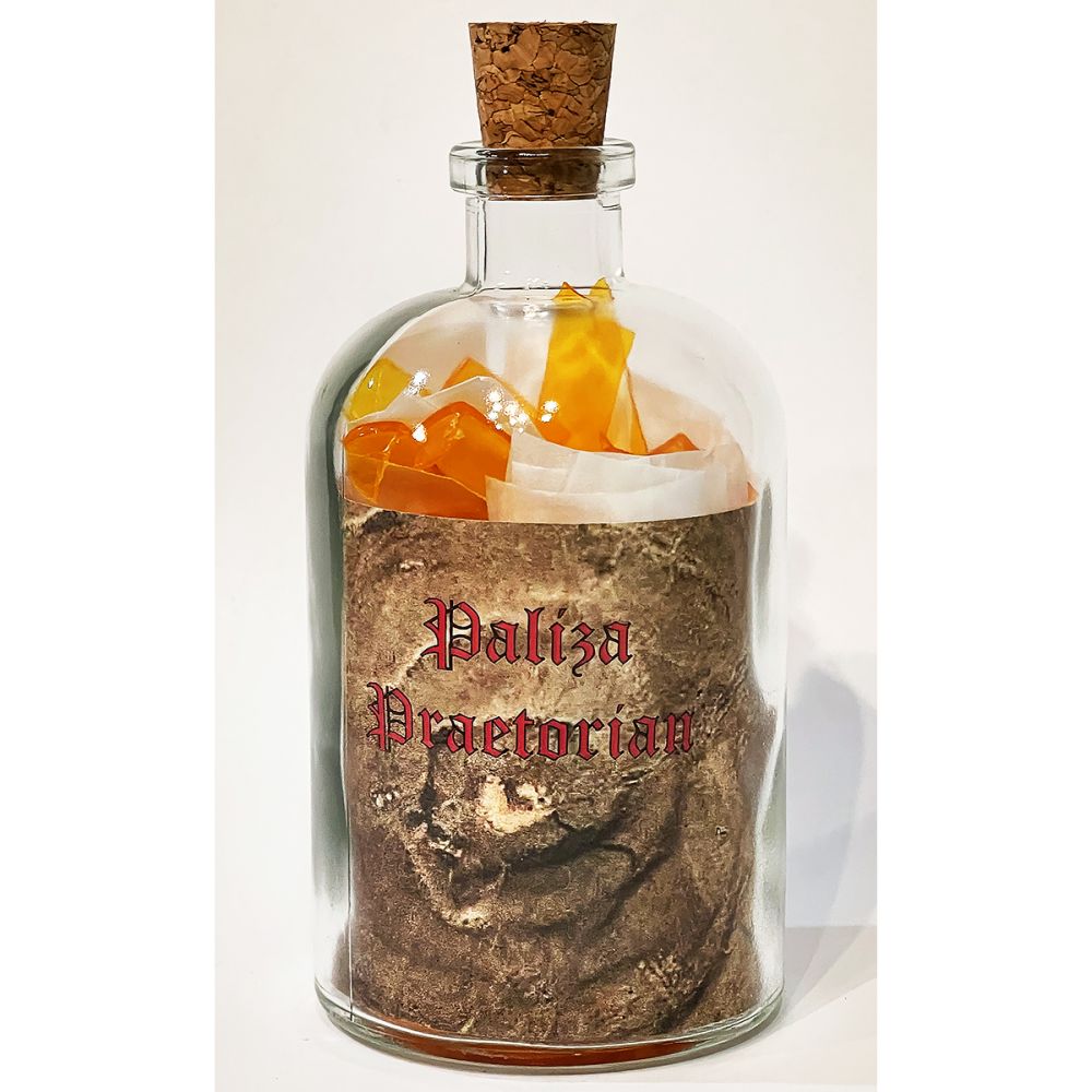 <br/>Paliza Praetorian, 10/9/2025<br/>Apx 6½" x 3" x 3"<br/>glass, paper, ink, cork and plastic